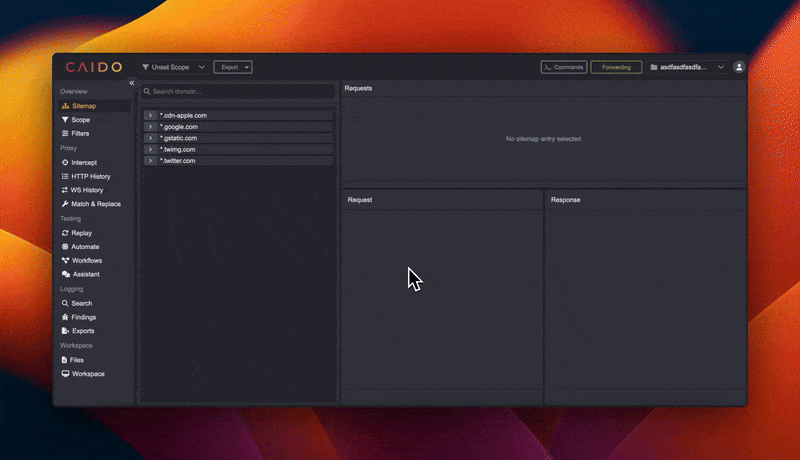 Caido Overview
